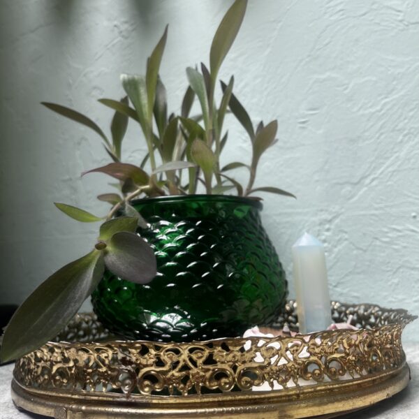 E.O Brody Vintage 1960s Emerald Glass Fish Scale Planter with Purple Heart Plant