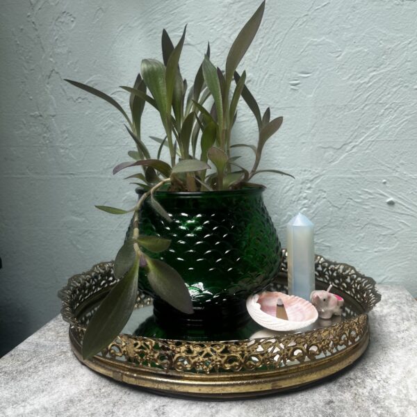E.O Brody Vintage 1960s Emerald Glass Fish Scale Planter with Purple Heart Plant - Image 5