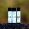 Natural Lip Balm Trio