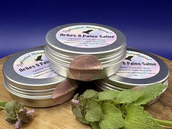 Dystracted Metaphysical’s Aches & Pains Salve (without comfrey) - Image 2