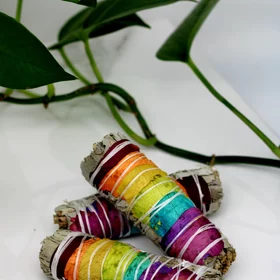 Sustainably Sourced Organic White Sage + Rainbow Rose Bundle