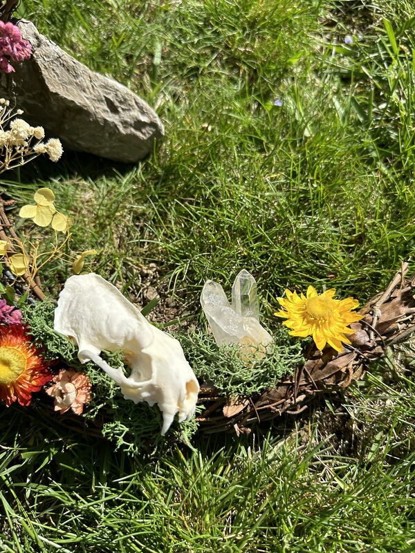 Gorgeously Handmade Grapevine Wreath with Genuine Mink Skull and Clear Quartz Crystal Cluster - Image 2