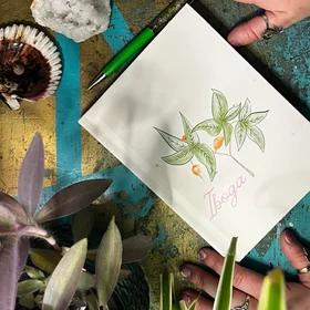 Iboga Tree Botanical Illustration Notebook