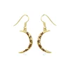 Crescent Moon with Meaningful Bind Runes Gold Earrings